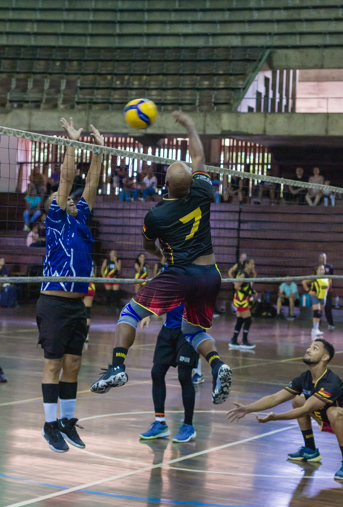 Professional guild volleyball competition